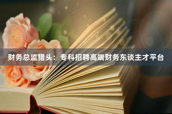 财务总监猎头：专科招聘高端财务东谈主才平台